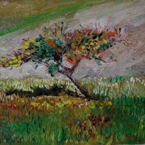 melo selvatico (venduto)