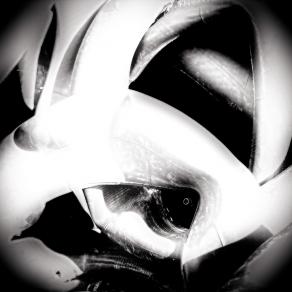 Il mio viaggio comincia adesso 