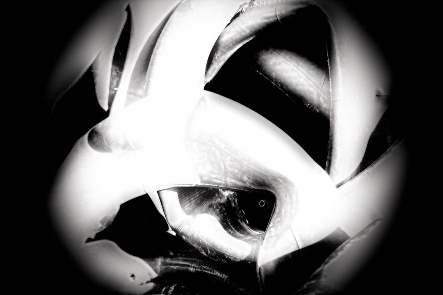 Il mio viaggio comincia adesso 