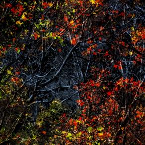 Oltre il velo dell'apparente felicità