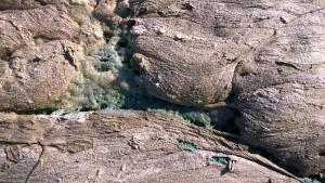 Christoph Schläpfer - Dihydrogenmonoxid 