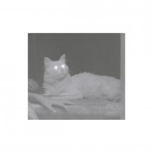 The last summer / I. Souvenirs d'enfance