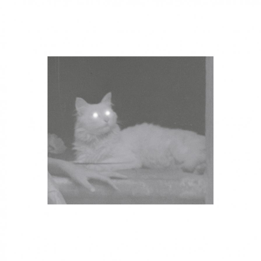 The last summer / I. Souvenirs d'enfance