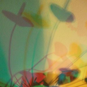 I colori della biodiversità -2015