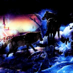 . . . IO NON AVRO' PAURA !!!! . . . 