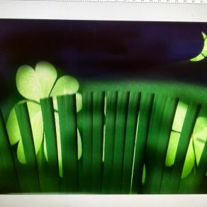 L'erba del vicino è sempre più verde.anche di notte.