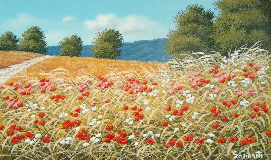 Marco Saporiti - Campo di papaveri  - olio su tela - 50 x 30
