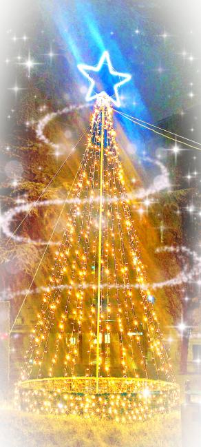 Ho sempre Sognato un Albero di Natale che ....❤️