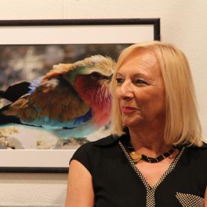 ANIMALS ART A PALAZZO DUCALE