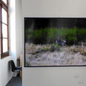 OLTRE L'OBIETTIVO - FOTOGRAFIA E SCULTURA AL CASTELLO DEI GONZAGA