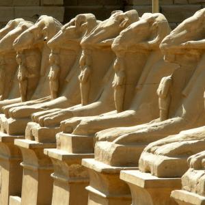 Egitto. Luxor e Marsa Alam