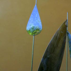 Natura:Luci e Ombre a Modena.