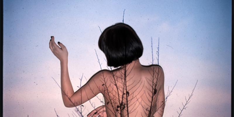 MANUELA ASSILLI  "PROIEZIONI"