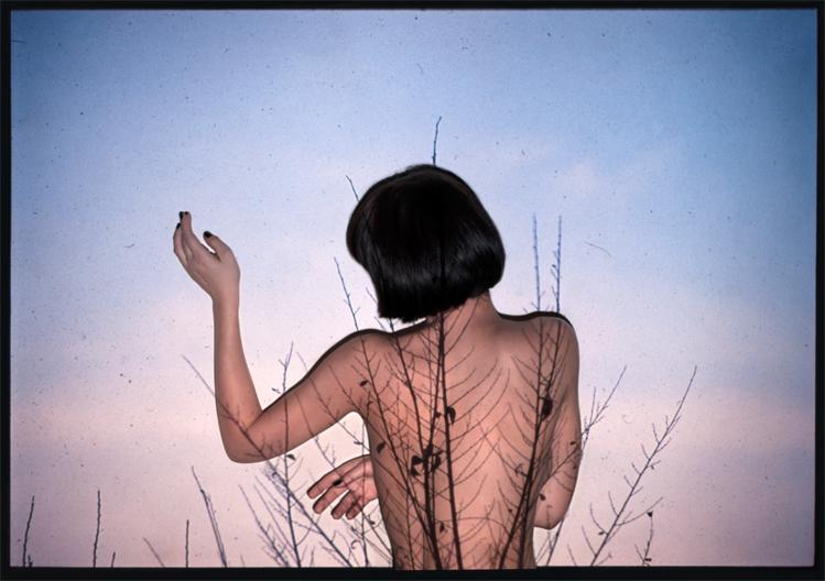 MANUELA ASSILLI  "PROIEZIONI"