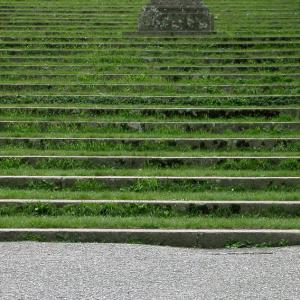 Italia. Calabria. Aperture