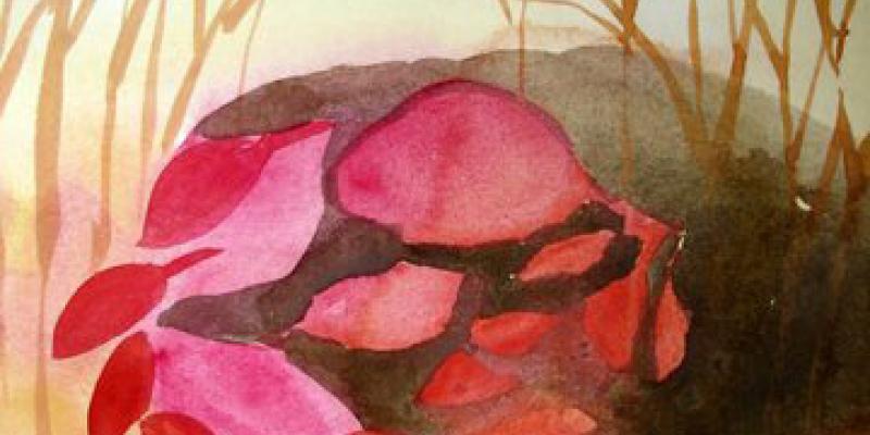 Vesna Cadez, Transparencies Vesna Cadez, Transparencies