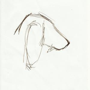 SHORT | DISEGNO ZEN SHORT | DISEGNO ZEN