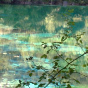 OCCHIAMOCI OCCHIAMOCI