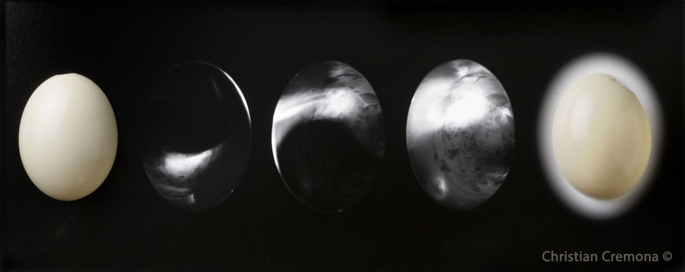 Biennale Milano 2015