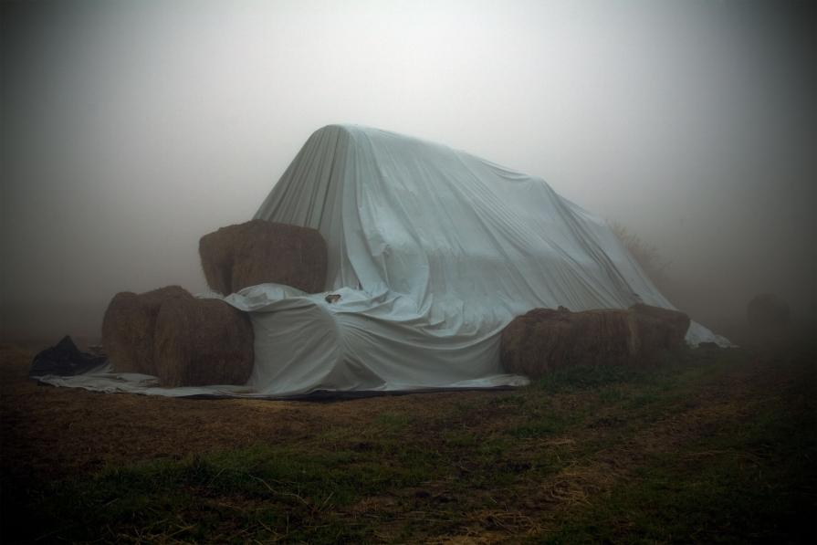 Attesa Silente , Oblio Attesa Silente , Oblio