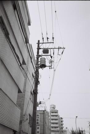 Electrical wires=feti