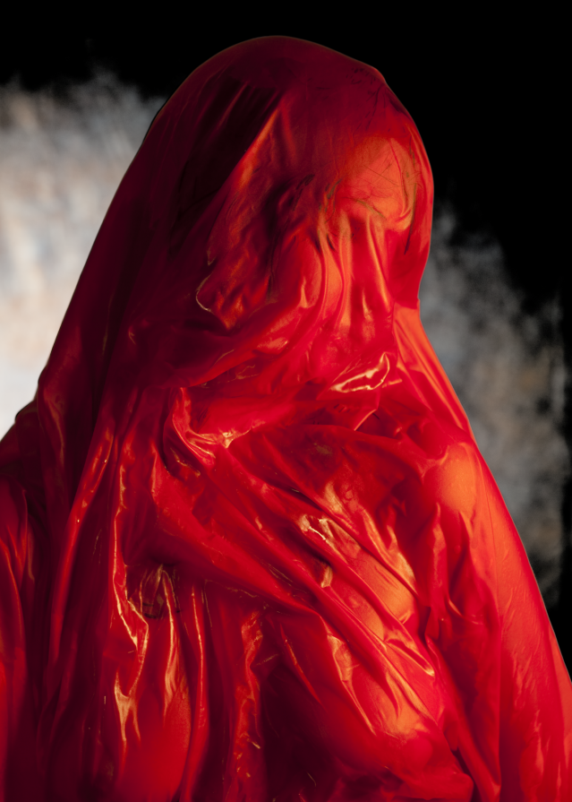 Passion in Red No. 2