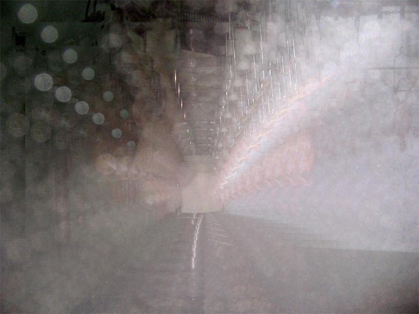 Chickens in the way (Macello con polli 61)