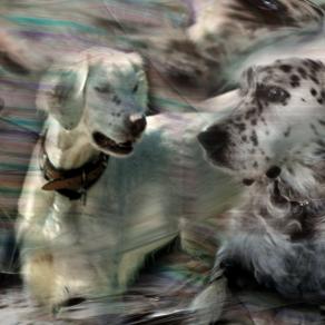 uno scambio di gesti, per un ricordo d'amore.