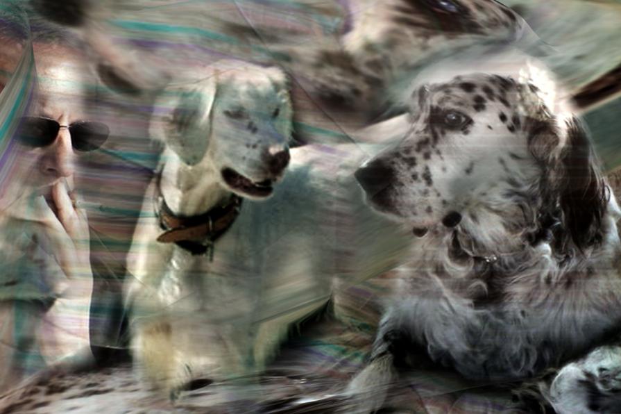 uno scambio di gesti, per un ricordo d'amore.