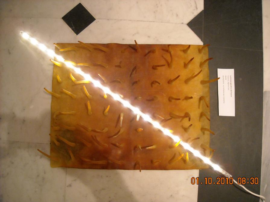 Luminoso giardino del futuro