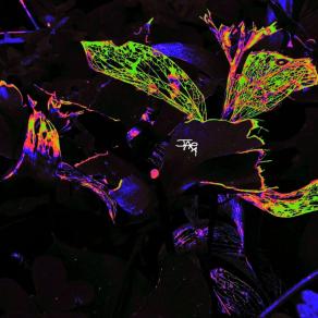 Il nulla-il tempo-il nulla