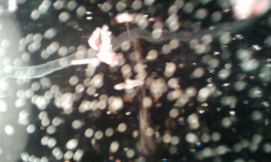 Coppie di particelle supersimmetriche