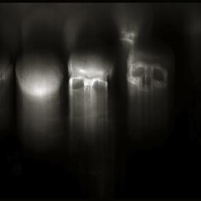 Skulls (Skull, Teschi, Teschio) - fotografia di Augusto De Luca. 36