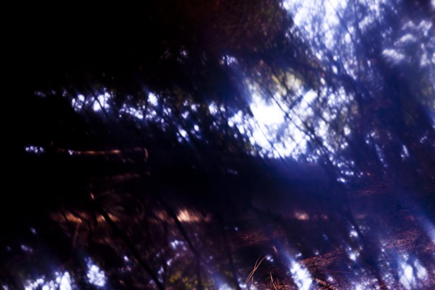 This is the Secret #11