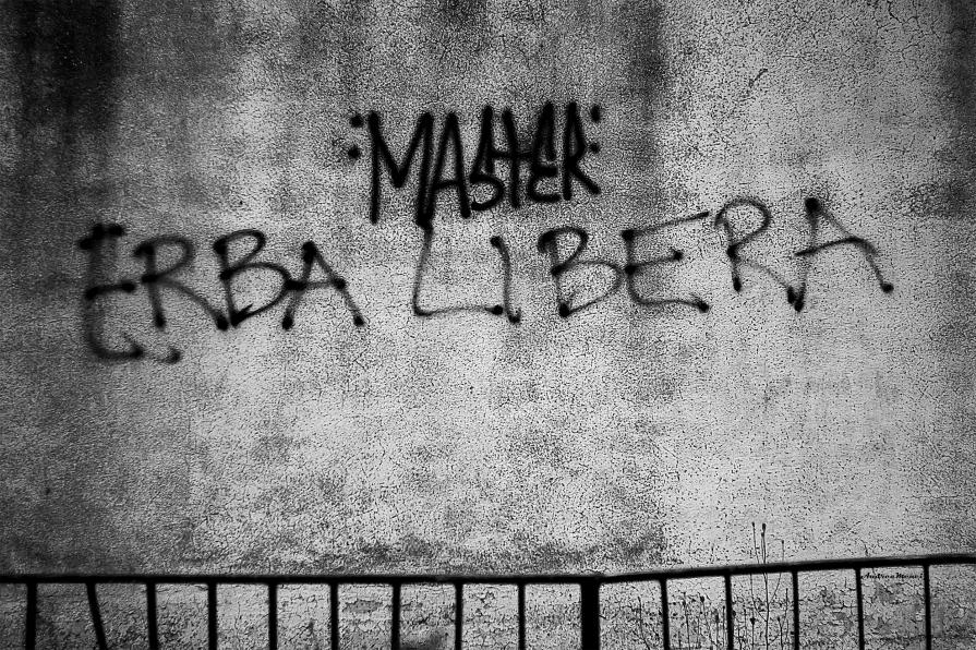 ...SCHEGGE DI OCCHIO DI RA (10)...