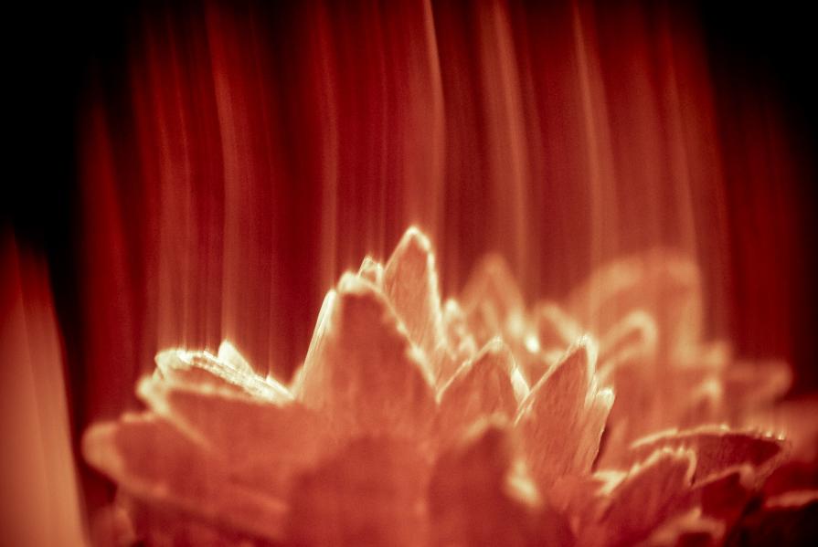 Series "The desires of...1" Series "The desires of...1"