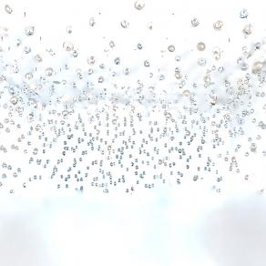 we are all family from past and future.