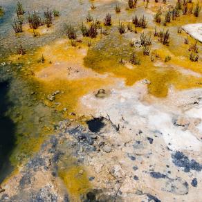 Blue Crater Lake & yellow Forest