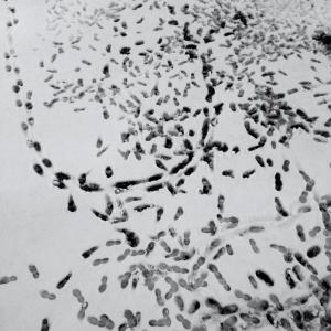 Le tracce del presente