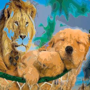 . . . MI FIDO DI TE  !!! . . . 