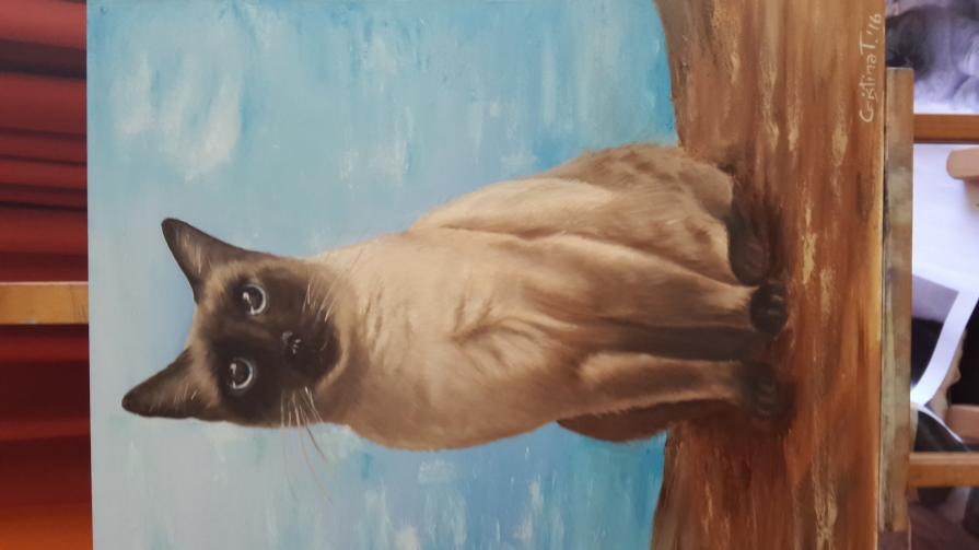 Anubi Una storia d'amore lunga vent'anni 