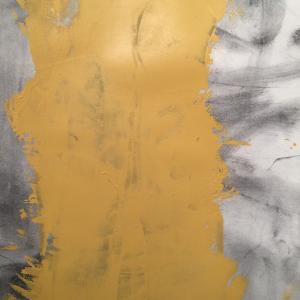 spine imprint spine imprint