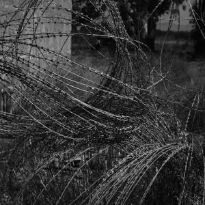 Senza titolo dalla serie 