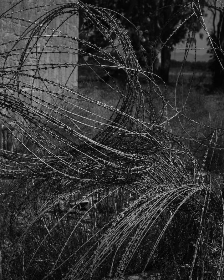 Senza titolo dalla serie 