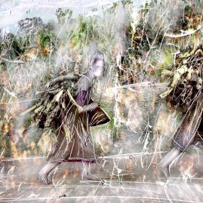 inarrestabili migrazioni in atto.