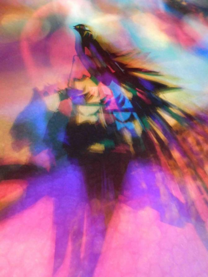 I COLORI DELLA BIODIVERSITÀ