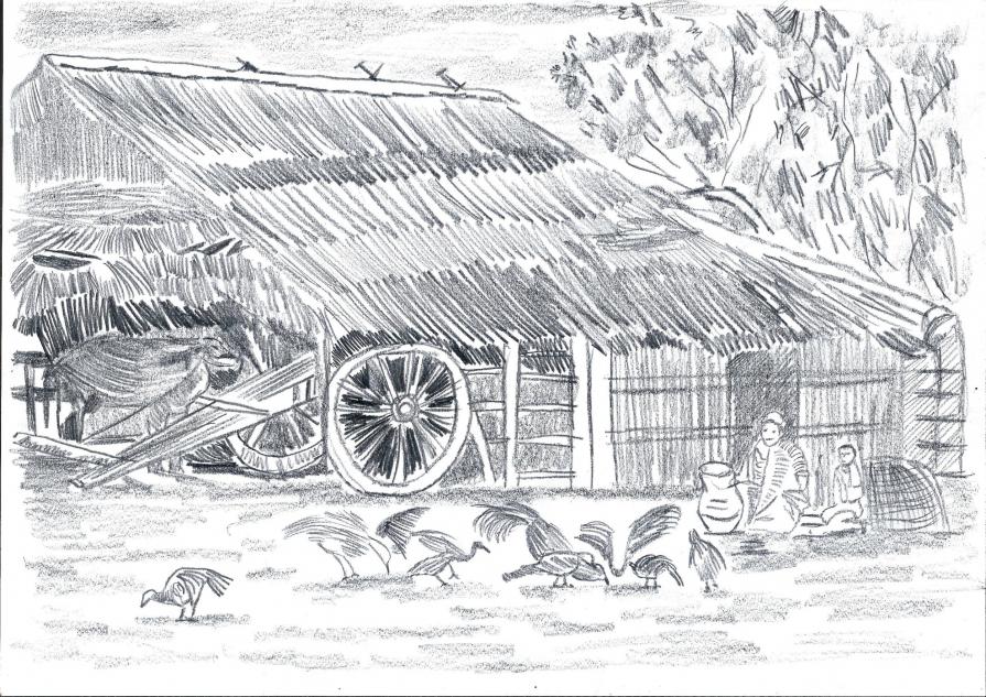 Cicale, sorelle, nel sole con voi mi nascondo nel folto dei pioppi e aspetto le stelle !!!