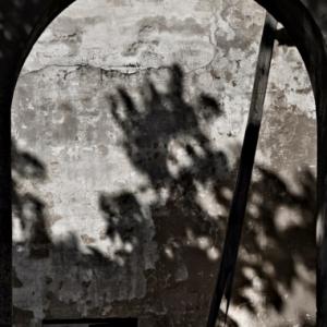 Carlo Vannini. Cupi fantasmi di una vita perduta