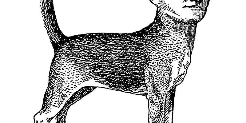 UNDERDOGSTUDIO _ OPENING!