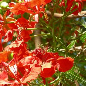 Egitto. Luxor e Marsa Alam